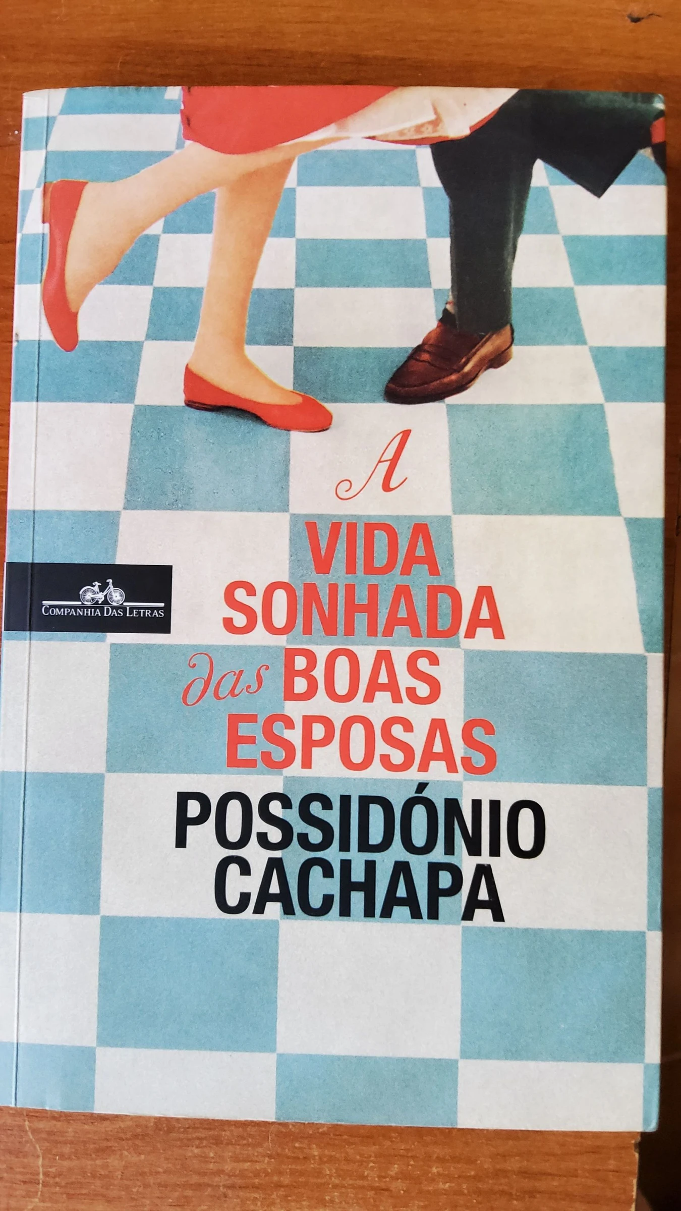 A Vida Sonhada das Boas Esposas de Possidónio Cachapa